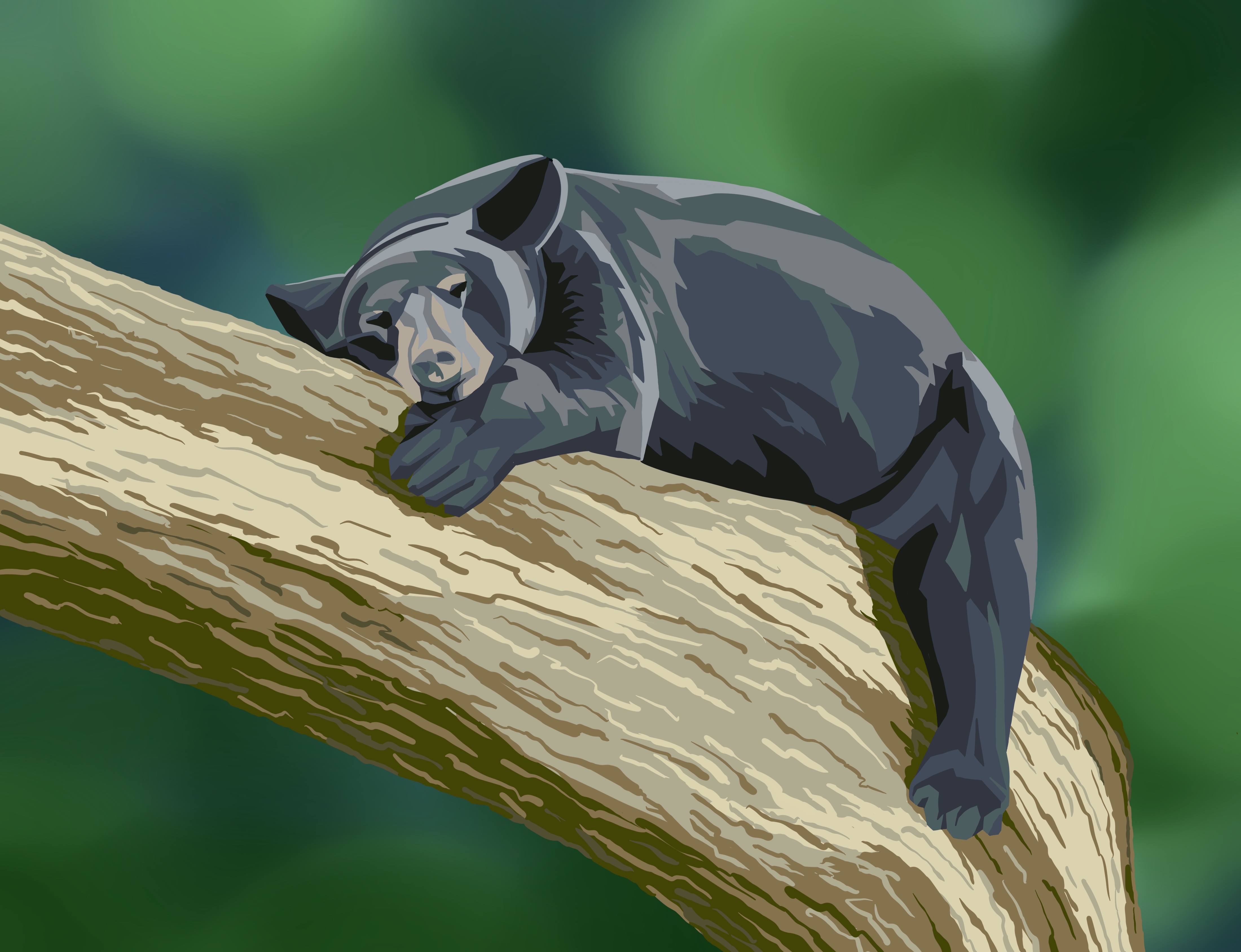 digital designs category preview